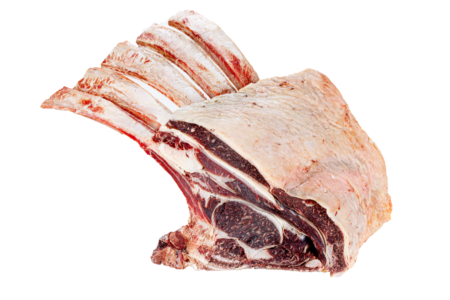 Tomahawk 5 coste intero