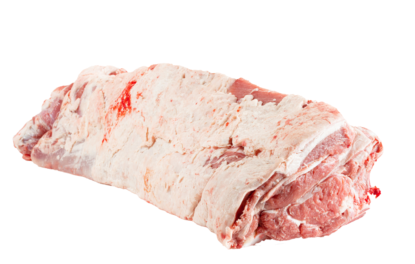 Lombata con osso extra