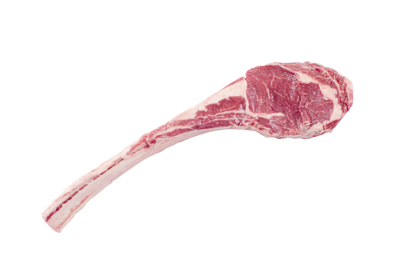Tomahawk